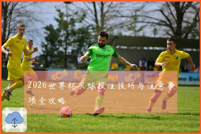 2026世界杯买球投注技巧与注意事项全攻略
