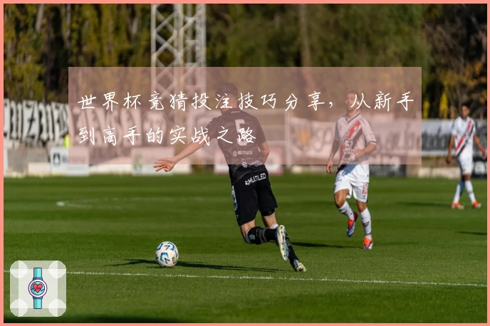 世界杯竞猜投注技巧分享，从新手到高手的实战之路