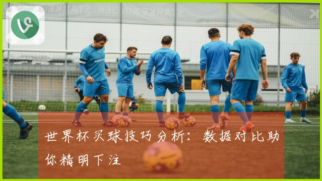 世界杯买球技巧分析：数据对比助你精明下注