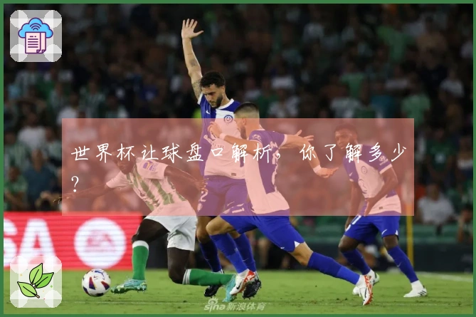 世界杯让球盘口解析，你了解多少？