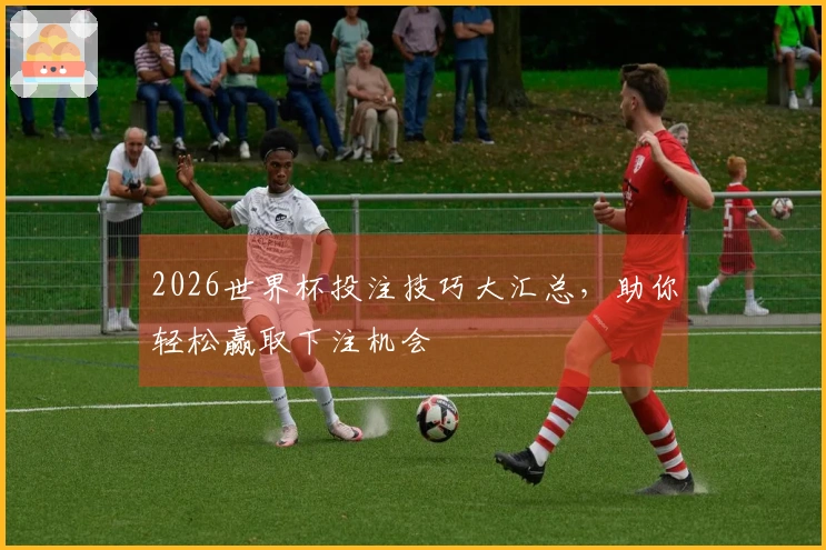 2026世界杯投注技巧大汇总，助你轻松赢取下注机会