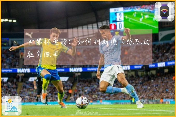 世界杯竞猜：如何判断热门球队的胜负概率