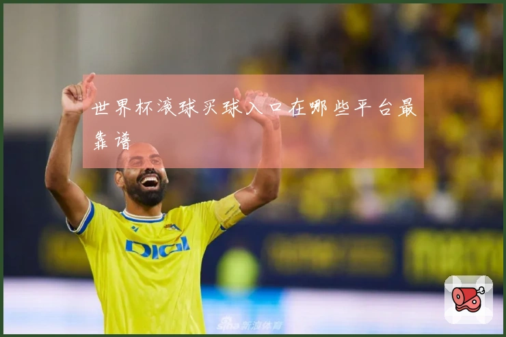 世界杯滚球买球入口在哪些平台最靠谱