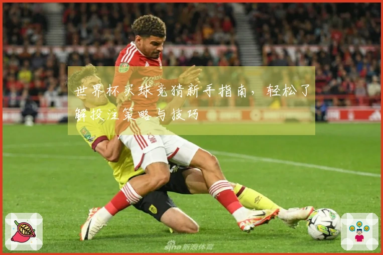 世界杯买球竞猜新手指南，轻松了解投注策略与技巧